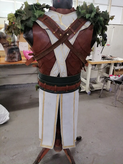 Haslin costume from Baldur's Gate 3 - SokolArmory