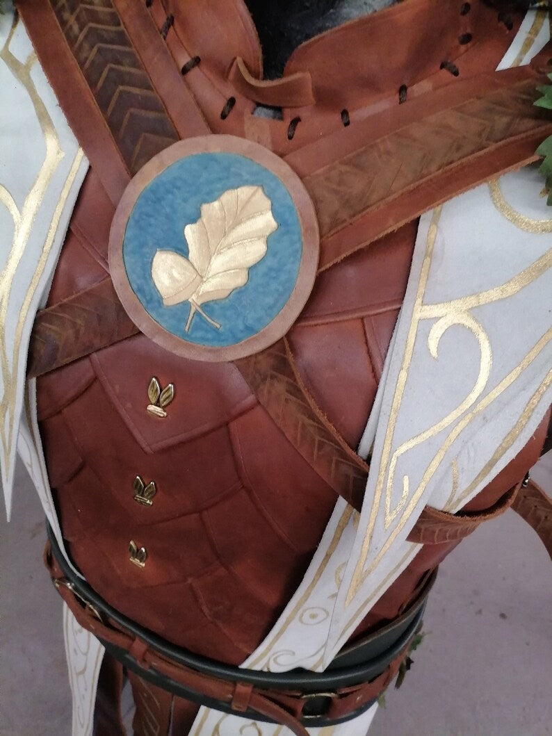 Haslin costume from Baldur's Gate 3 - SokolArmory