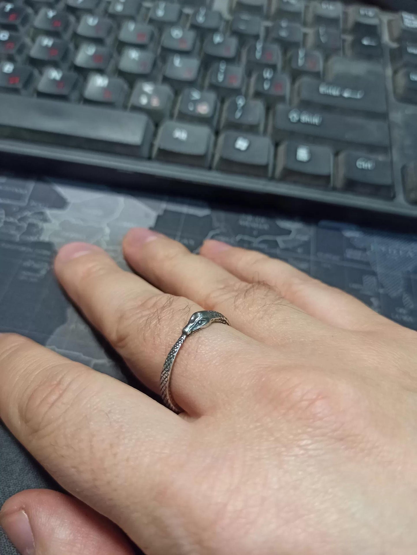 Ouroboros Snake Silver Ring - SokolArmory